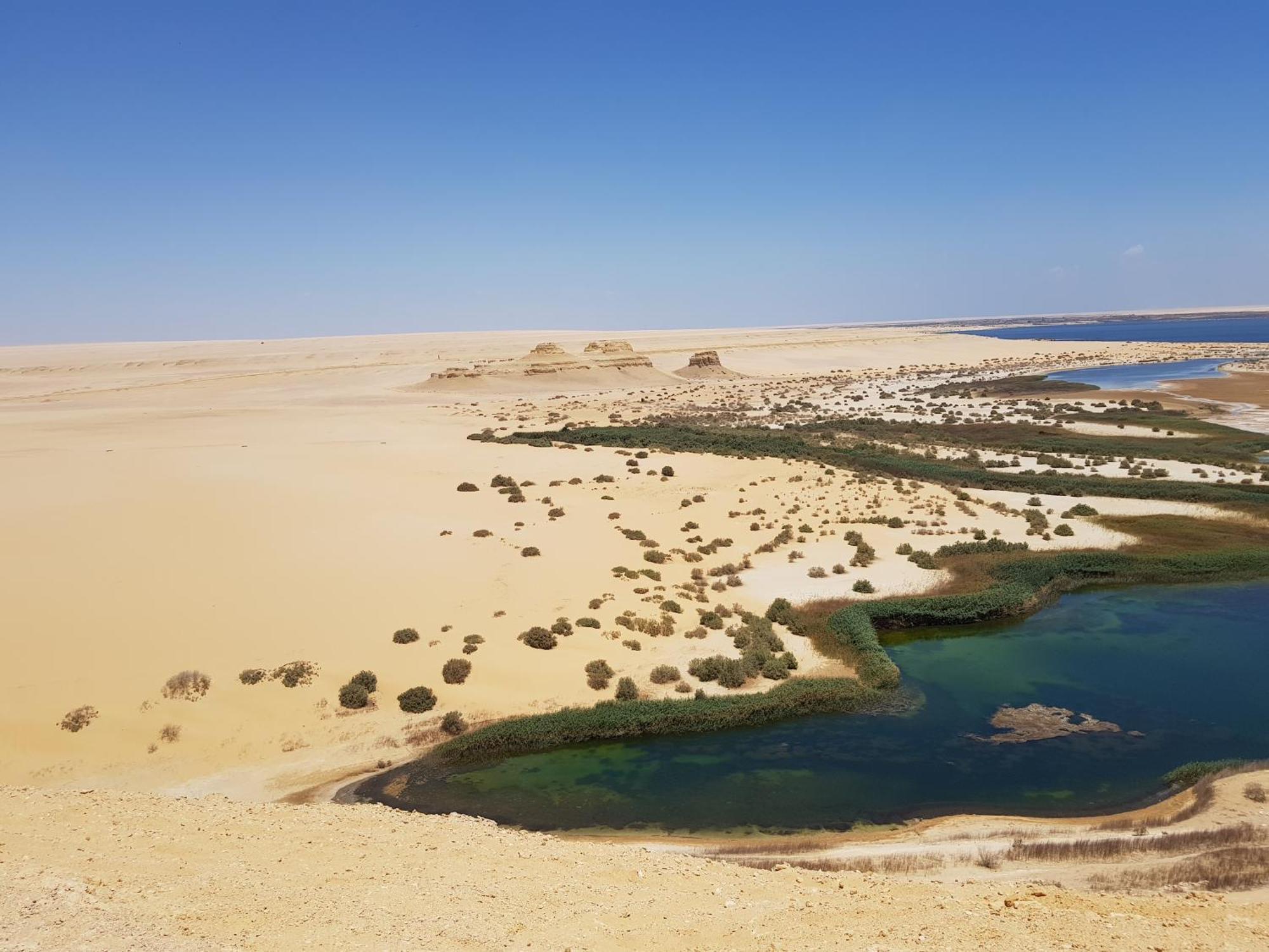 Maged Pyramids View Inn Kafret el-Gabal Exterior foto